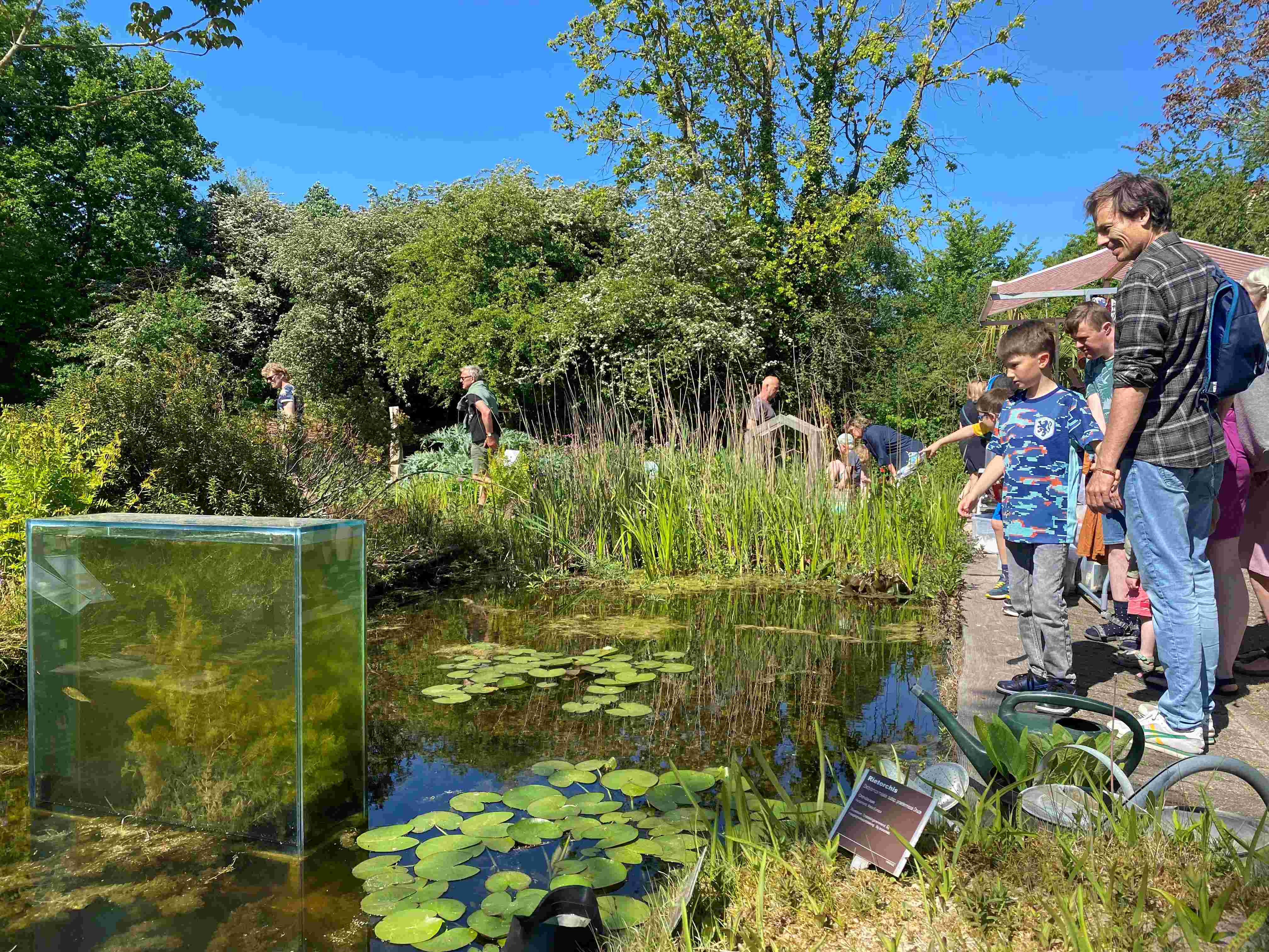 Mensen rondom een vijver in Hortus Alkmaar